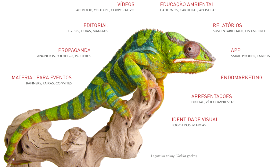 Relat��rios de Sustentabilidade